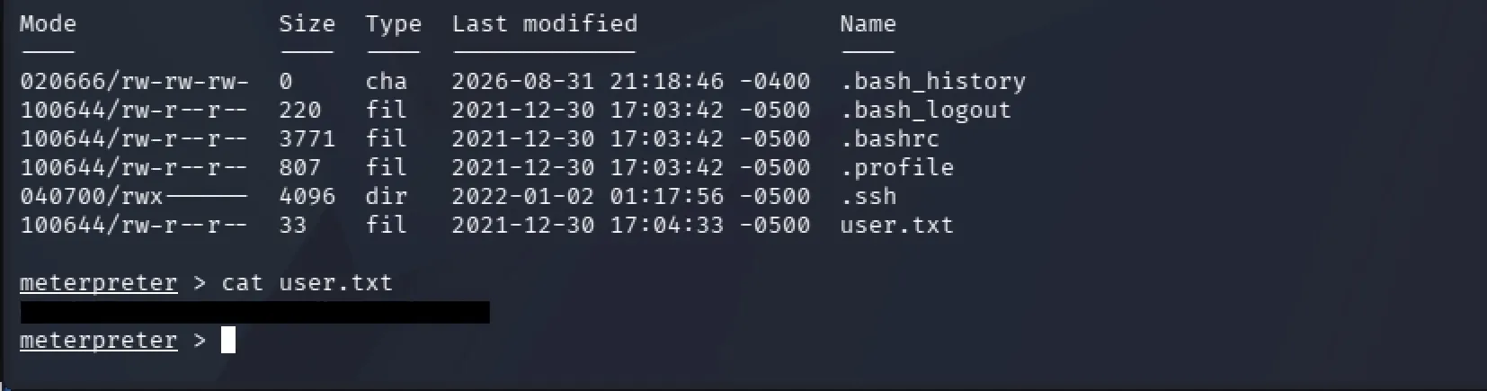 Terminal output showing the user flag recovered from michael's home directory