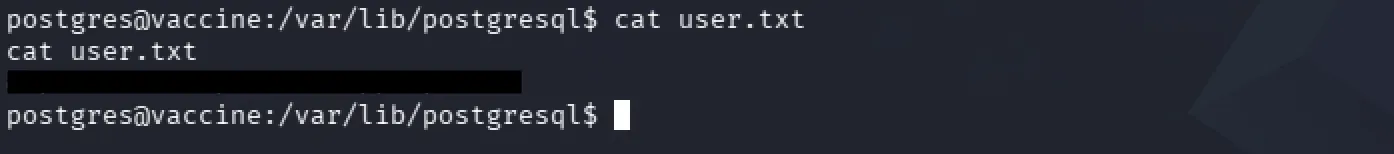Terminal output showing the user flag recovered as postgres