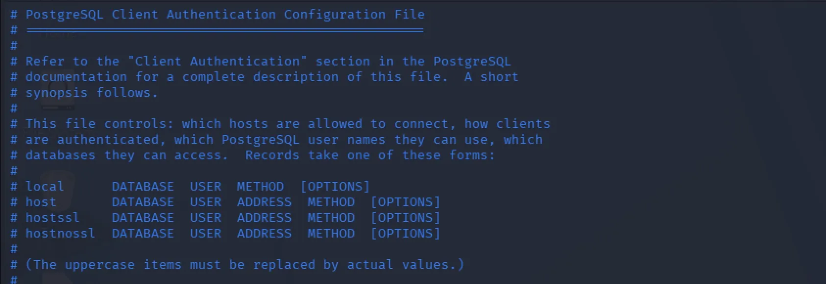 PostgreSQL pg_hba.conf configuration opened in the privileged vi editor